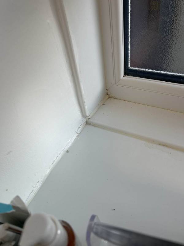 Mould on a window reveal before treatment